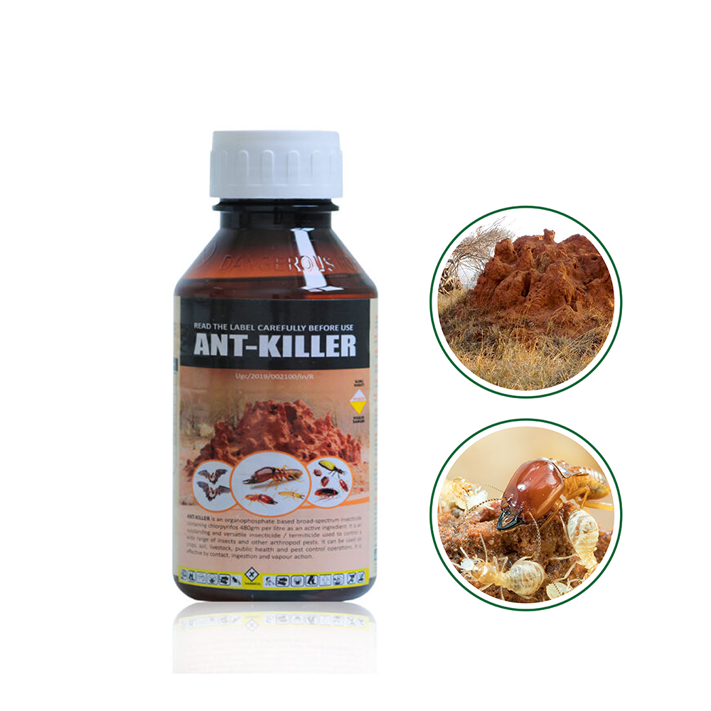 Ant killer 250ml