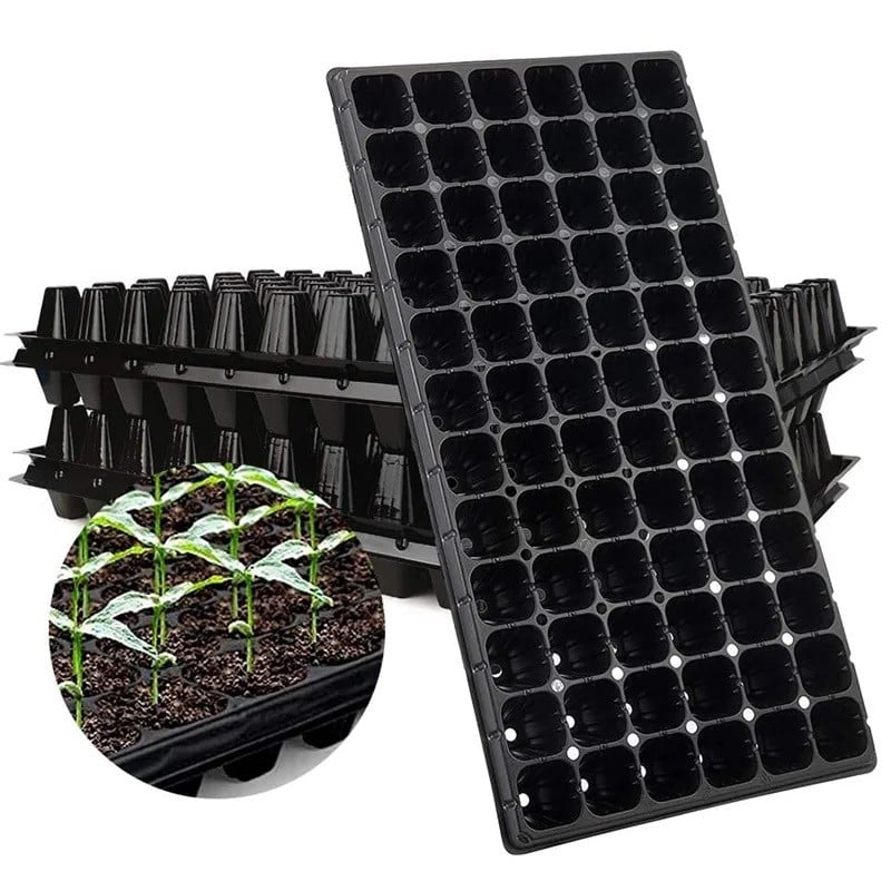 Seed trays